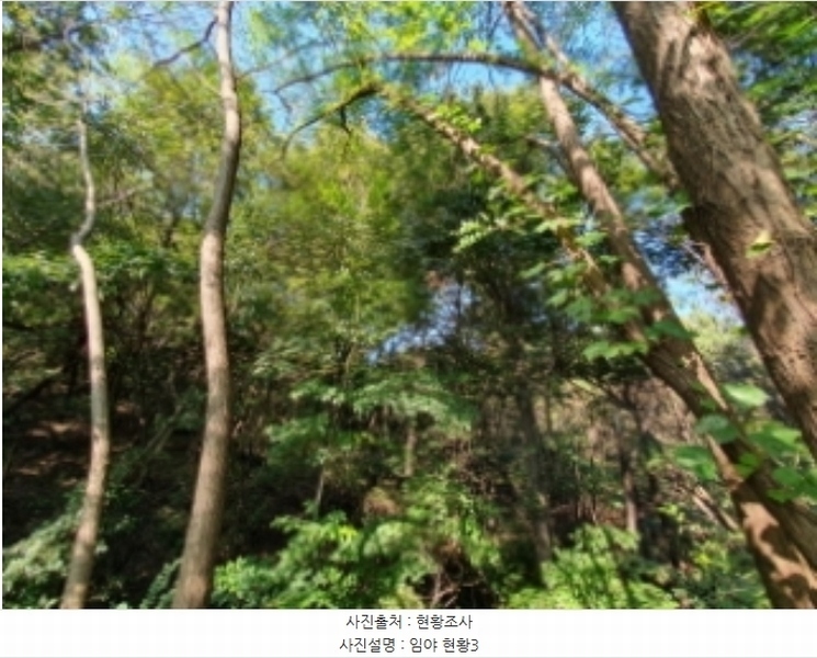 2024타경90063 경기도 화성시 양감면 사창리 777-17 임야 경매 이미지