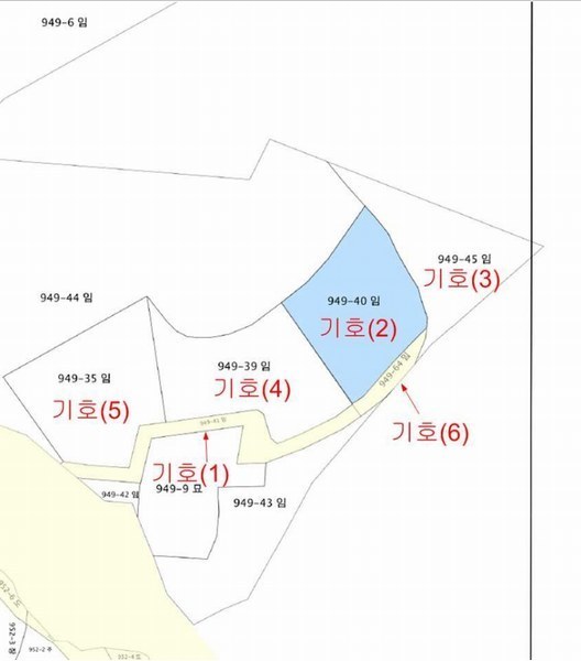 2025타경50567 경기도 화성시 팔탄면 구장리 949-41 임야 경매 이미지