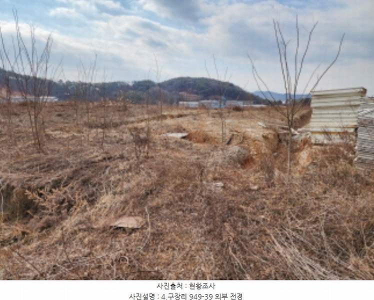 2025타경50567 경기도 화성시 팔탄면 구장리 949-41 임야 경매 이미지