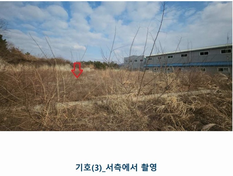 2025타경50567 경기도 화성시 팔탄면 구장리 949-41 임야 경매 이미지