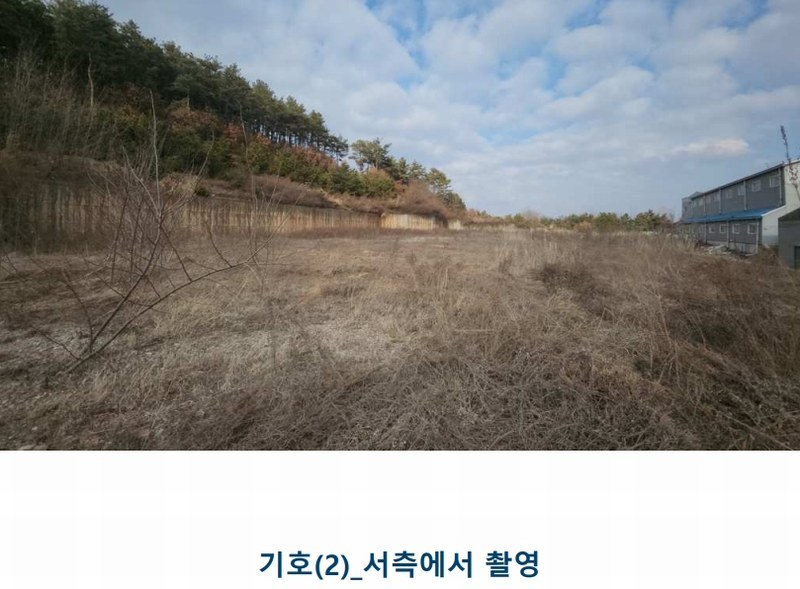 2025타경50567 경기도 화성시 팔탄면 구장리 949-41 임야 경매 이미지