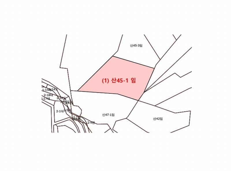 2024타경96764 경기도 화성시 서신면 홍법리 산45-1 임야 경매 이미지