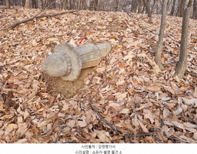 2024타경98838 경기도 용인시 수지구 동천동 산17-14 임야 경매 이미지