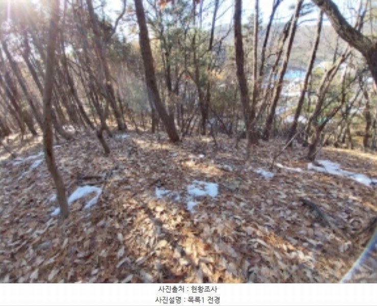 2024타경98838 경기도 용인시 수지구 동천동 산17-14 임야 경매 이미지