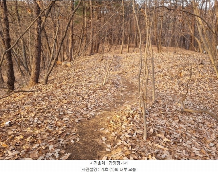 2024타경98838 경기도 용인시 수지구 동천동 산17-14 임야 경매 이미지