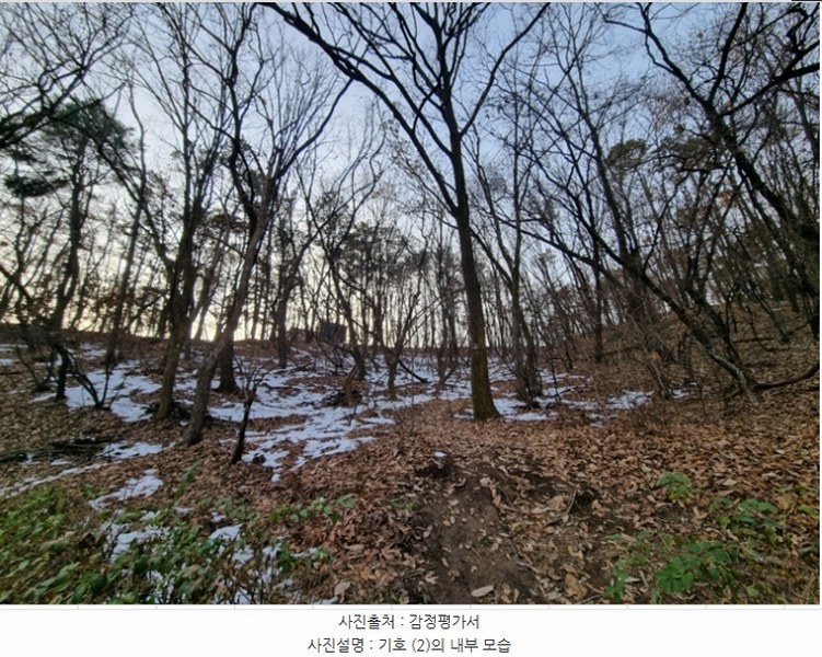 2024타경98838 경기도 용인시 수지구 동천동 산17-14 임야 경매 이미지