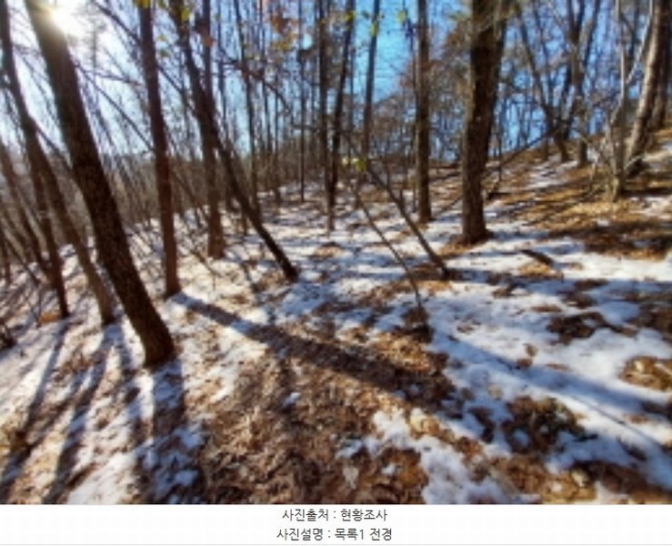 2024타경98838 경기도 용인시 수지구 동천동 산17-14 임야 경매 이미지
