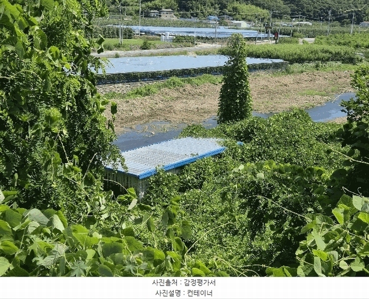 2025타경892 경상북도 영천시 화북면 자천리 501 농지 경매 이미지