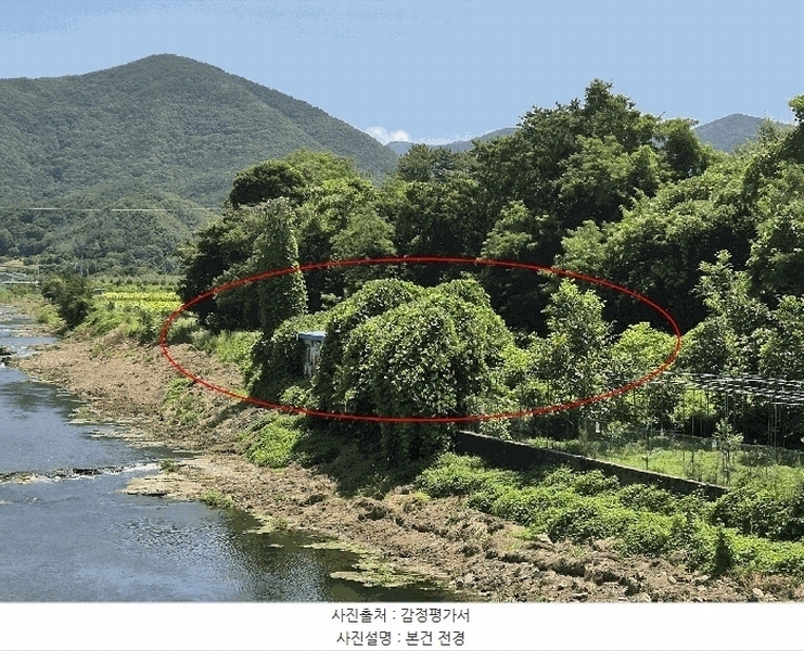 2025타경892 경상북도 영천시 화북면 자천리 501 농지 경매 이미지