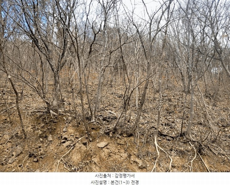 2025타경914 경상남도 양산시 원동면 원리 산118 임야 경매 이미지