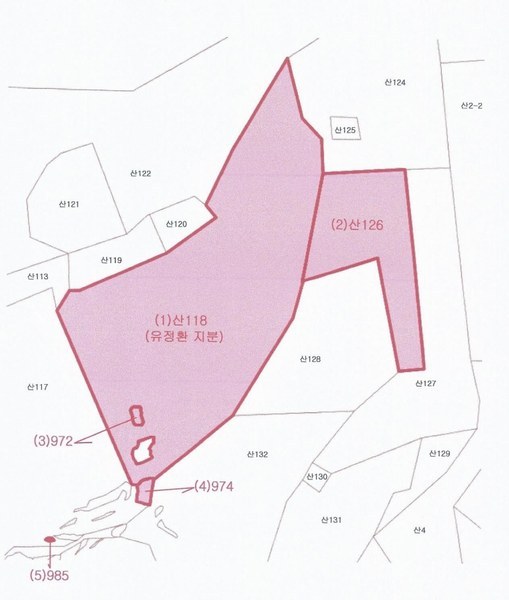 2025타경914 경상남도 양산시 원동면 원리 산118 임야 경매 이미지