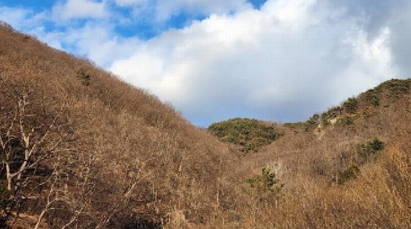 2025타경914 경상남도 양산시 원동면 원리 산118 임야 경매 이미지