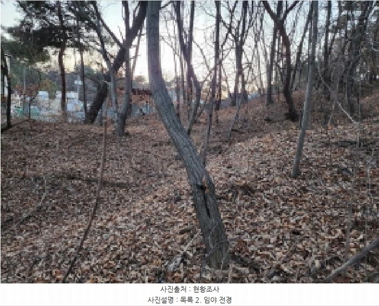 2025타경53535 경기도 화성시 장안면 사곡리 375-11 임야 경매 이미지