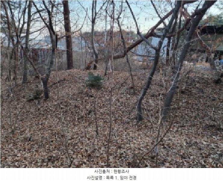 2025타경53535 경기도 화성시 장안면 사곡리 375-11 임야 경매 이미지