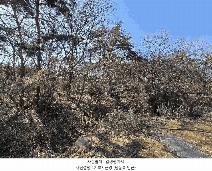 2025타경53535 경기도 화성시 장안면 사곡리 375-11 임야 경매 이미지