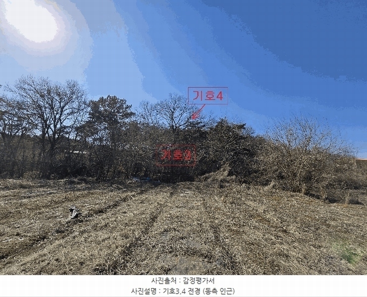 2025타경53535 경기도 화성시 장안면 사곡리 375-11 임야 경매 이미지
