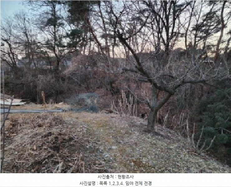 2025타경53535 경기도 화성시 장안면 사곡리 375-11 임야 경매 이미지
