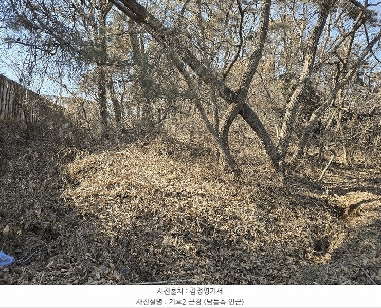 2025타경53535 경기도 화성시 장안면 사곡리 375-11 임야 경매 이미지
