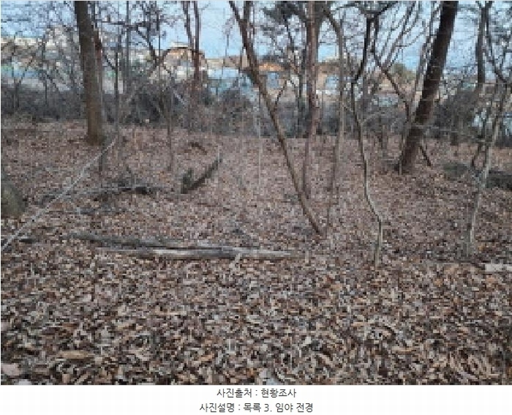 2025타경53535 경기도 화성시 장안면 사곡리 375-11 임야 경매 이미지