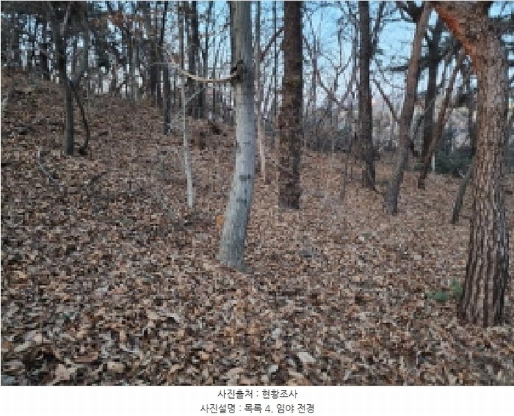 2025타경53535 경기도 화성시 장안면 사곡리 375-11 임야 경매 이미지