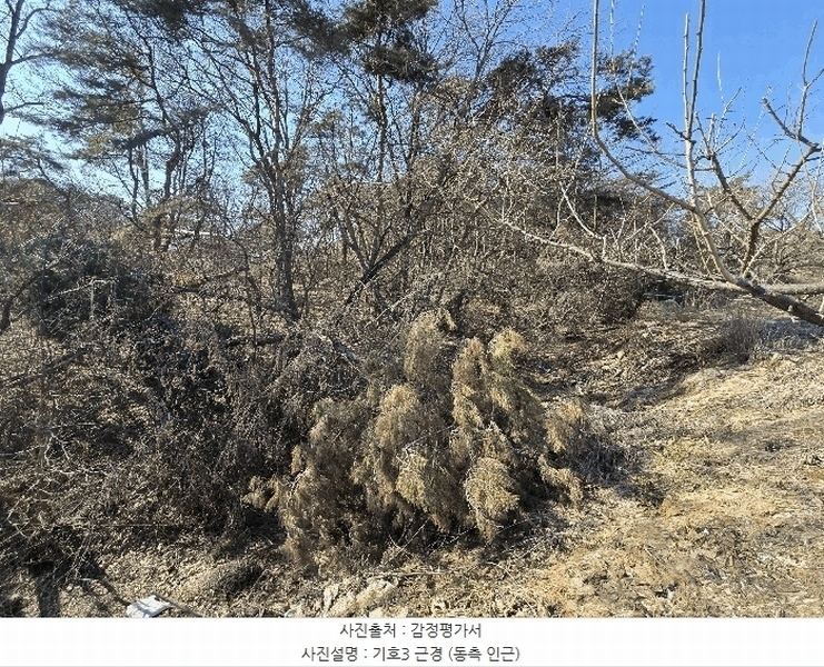 2025타경53535 경기도 화성시 장안면 사곡리 375-11 임야 경매 이미지