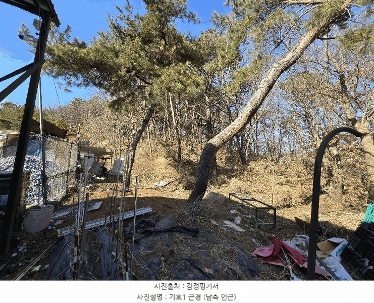 2025타경53535 경기도 화성시 장안면 사곡리 375-11 임야 경매 이미지