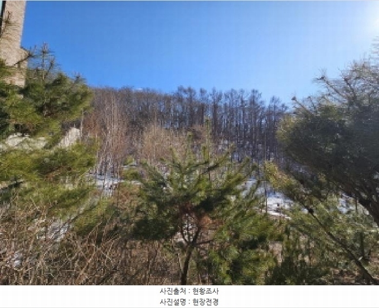 2025타경54322 경기도 용인시 처인구 양지면 평창리 산47 임야 경매 이미지