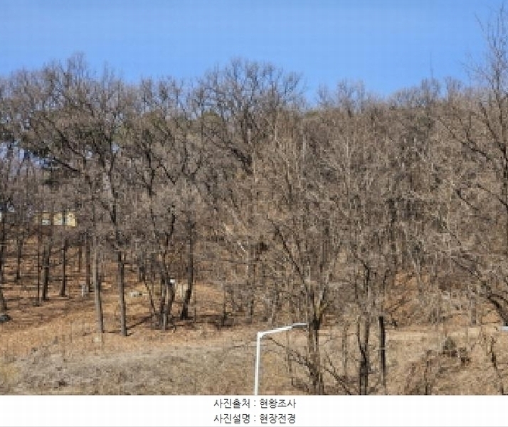 2025타경54673 경기도 용인시 처인구 유방동 산60-4 임야 경매 이미지