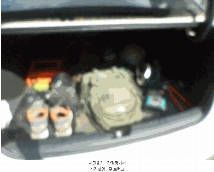 2025타경55083 경기도 용인시 처인구 모현읍 대지로 325, 케이앤엘스토리지 승용차 경매 이미지
