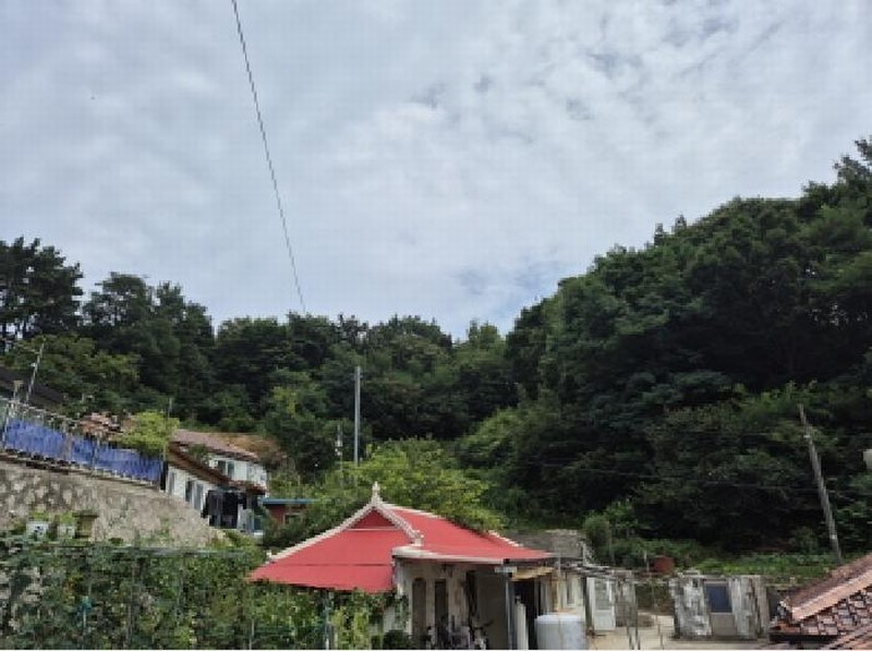 2025타경263 강원특별자치도 고성군 거진읍 거진리 175-1 임야 경매 이미지