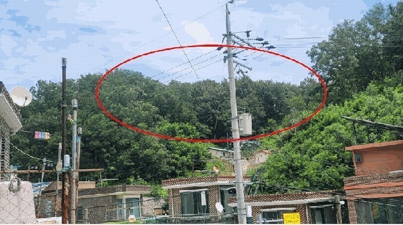 2025타경263 강원특별자치도 고성군 거진읍 거진리 175-1 임야 경매 이미지