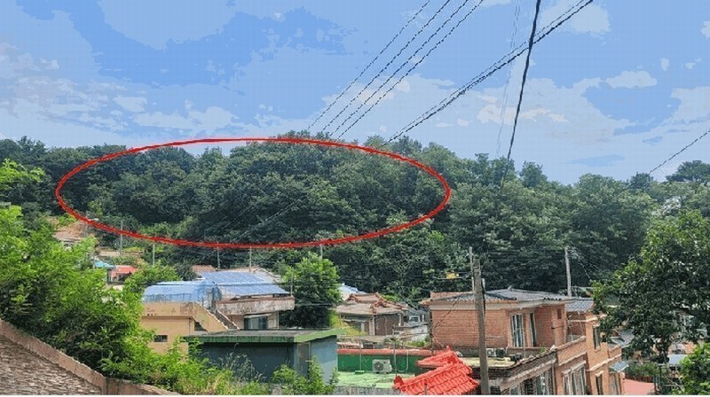 2025타경263 강원특별자치도 고성군 거진읍 거진리 175-1 임야 경매 이미지