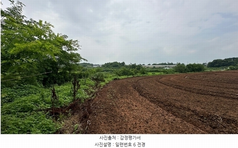 2024타경6808 경기도 화성시 우정읍 호곡리 1184-3 농지 경매 이미지