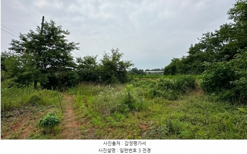 2024타경6808 경기도 화성시 우정읍 호곡리 1184-3 농지 경매 이미지