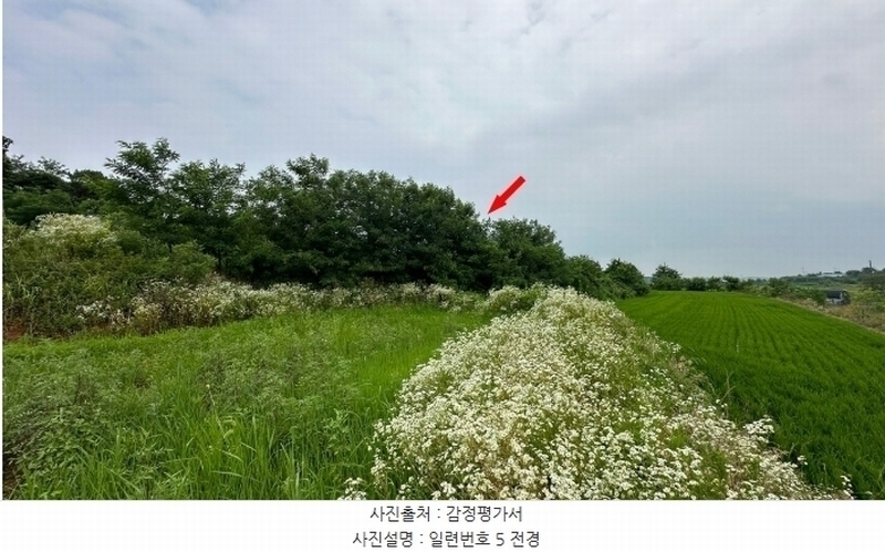 2024타경6808 경기도 화성시 우정읍 호곡리 1184-3 농지 경매 이미지