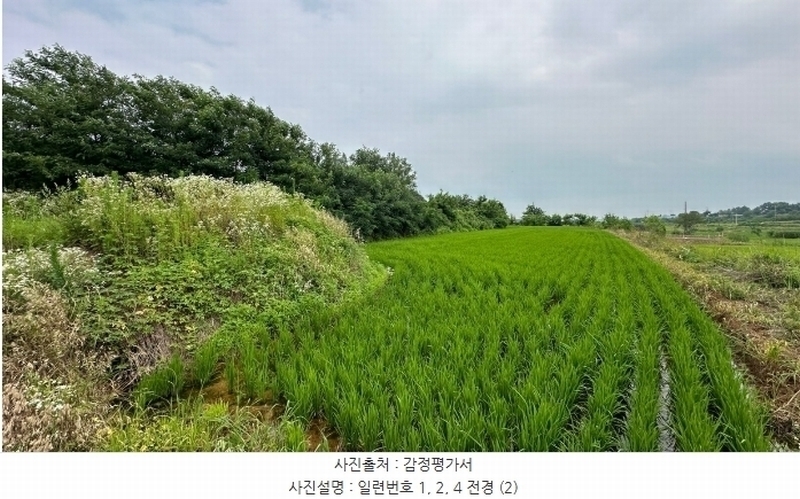 2024타경6808 경기도 화성시 우정읍 호곡리 1184-3 농지 경매 이미지