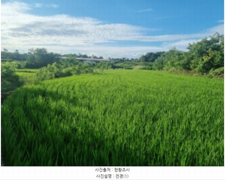 2024타경6808 경기도 화성시 우정읍 호곡리 1184-3 농지 경매 이미지