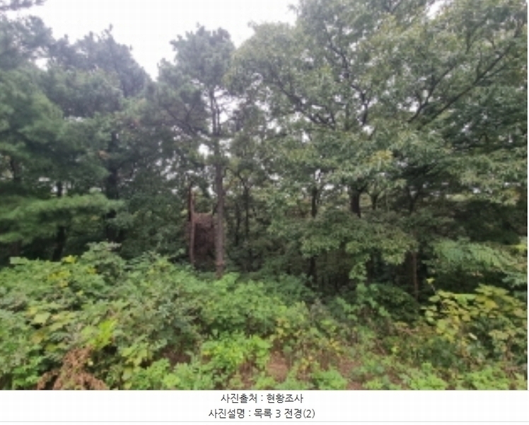 2024타경9913 경기도 화성시 장안면 수촌리 산31-12 임야 경매 이미지