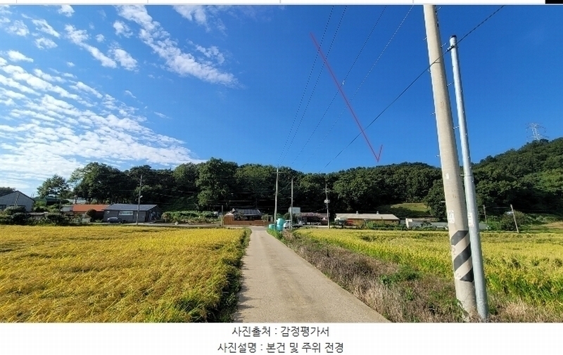 2024타경9913 경기도 화성시 장안면 수촌리 산31-12 임야 경매 이미지