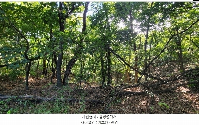 2024타경9913 경기도 화성시 장안면 수촌리 산31-12 임야 경매 이미지
