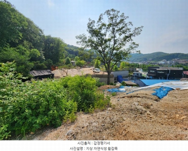 2024타경69380 경기도 용인시 수지구 동천동 604-20 임야 경매 이미지
