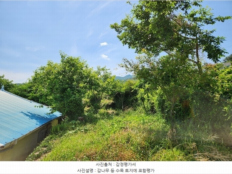 2024타경2691 경상남도 남해군 남해읍 심천리 509 주택 경매 이미지