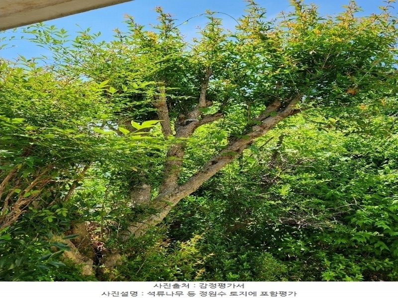 2024타경2691 경상남도 남해군 남해읍 심천리 509 주택 경매 이미지