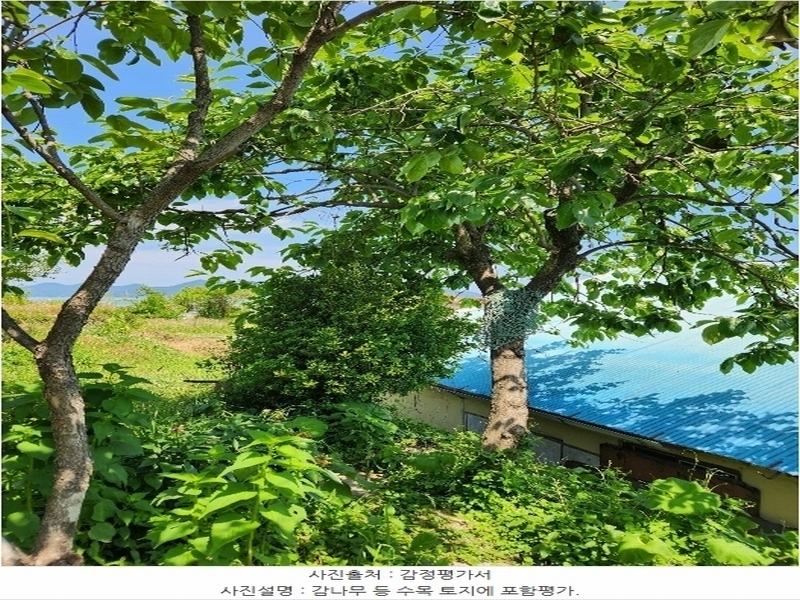 2024타경2691 경상남도 남해군 남해읍 심천리 509 주택 경매 이미지