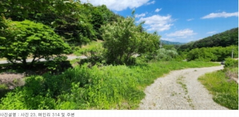 2024타경13080 경상북도 김천시 부항면 해인리 311 근린주택 경매 이미지