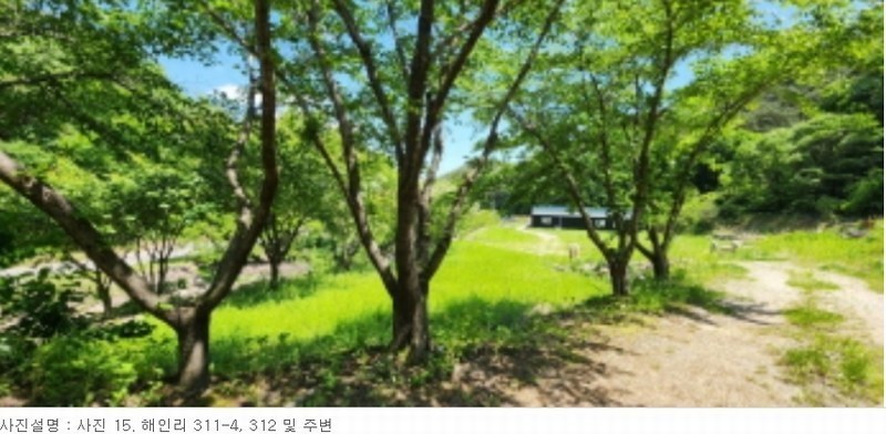 2024타경13080 경상북도 김천시 부항면 해인리 311 근린주택 경매 이미지