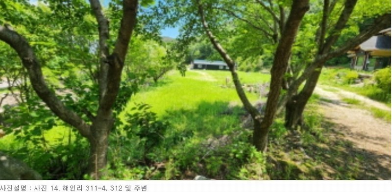 2024타경13080 경상북도 김천시 부항면 해인리 311 근린주택 경매 이미지