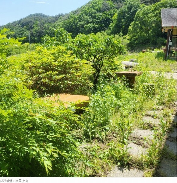 2024타경13080 경상북도 김천시 부항면 해인리 311 근린주택 경매 이미지