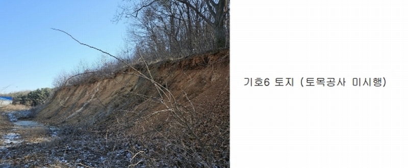 2024타경51846 경기도 화성시 서신면 매화리 100-8 임야 경매 이미지