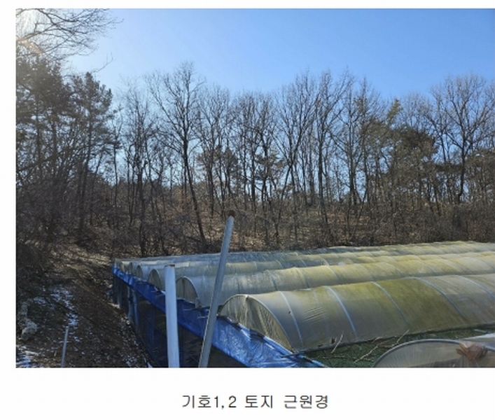 2024타경51846 경기도 화성시 서신면 매화리 100-8 임야 경매 이미지